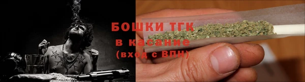 дмт Нея