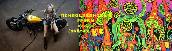 ALPHA-PVP Армянск